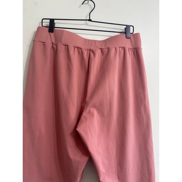 Stylish Muted Pink Pull-On Ankle Pants - Size Large - Picture 9 of 12